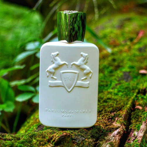 عطر اورجینال مردانه و زنانه مارلی گالووی